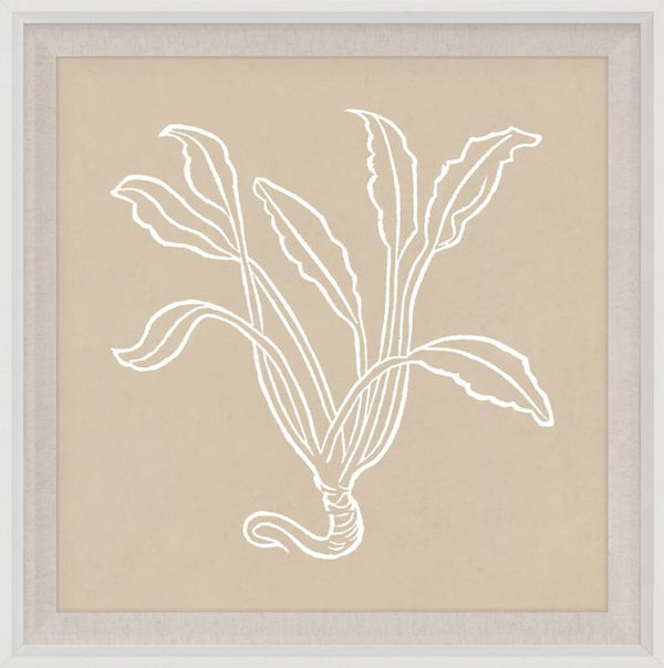 Botanical Study with Wood Frame, Series 4